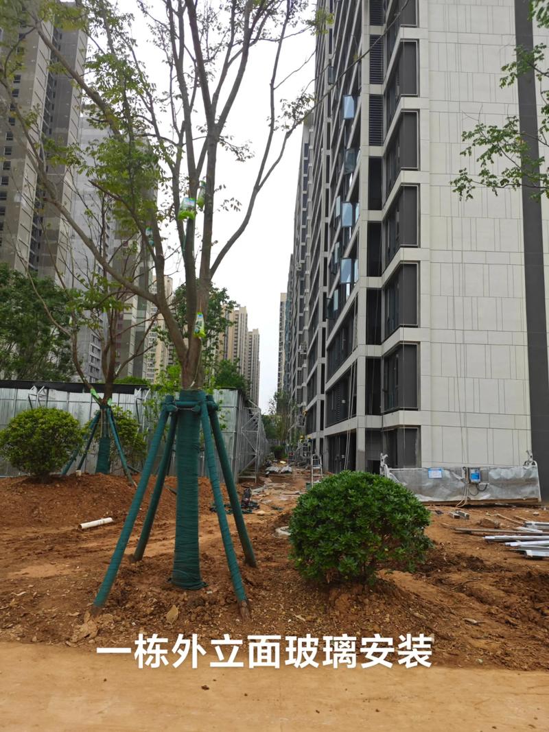 光谷中央公园园林绿化工程施工进展顺利，打造生态休闲新地标