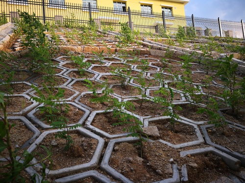 吉林高铁绿化施工团队 专业园林绿化工程的实践与价值