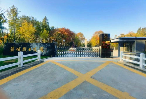 盐城60后、70后、80后记忆中的人民公园 从往昔记忆到今日绿化新貌