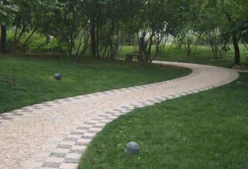 园林绿化及园林绿化施工全解 城市绿化管理