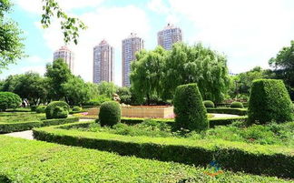 园林绿化施工的五大注意事项及城市绿化管理要点