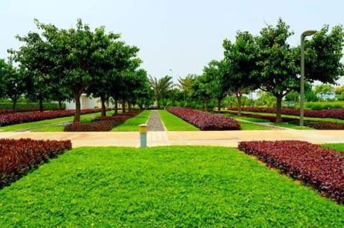 城市绿化工程中需报验的关键材料与规范流程