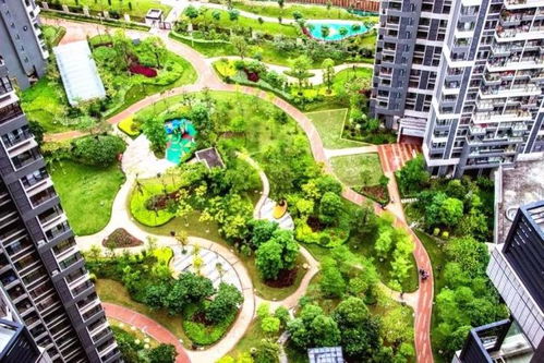 中国风景园林学会优秀园林工程精品项目回顾与城市绿化管理实践