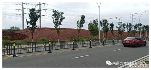 九龙湖大型公园绿化新篇章 巧借坡度塑特色，园林施工展新姿