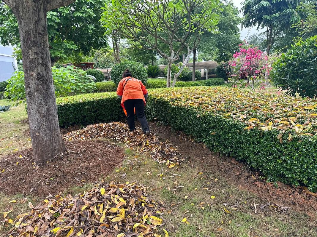 苗木种植基地与园林绿化工程 绿化苗木人施工的关键要素