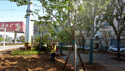 165名园林绿化工人坚守岗位 节日植树护绿守护房县城市底色